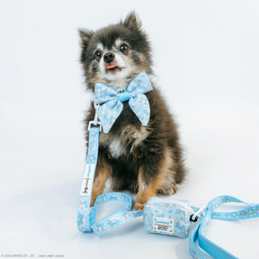 A small fluffy dog wearing a large blue bow tie and a Sassy Woof Dog Collar - Cinnamoroll™ with cartoon patterns sits on a white background, looking up with its tongue out.
