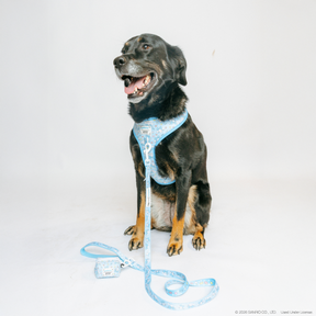 A black and brown dog, wearing the Sassy Woof Dog Adjustable Harness - Cinnamoroll™, sits on a white background, looking to the side with its mouth open and tongue out.