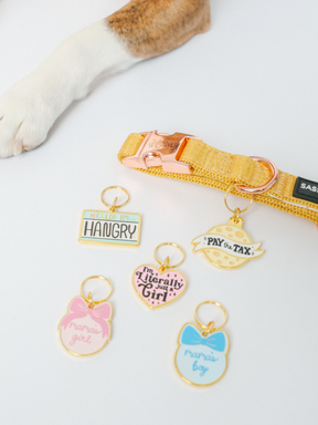 A dog’s paw beside a yellow Sassy Woof collar with gold hardware and the "Collar Tag - Cheese Tax" makes a playful pet keychain or dog charm.