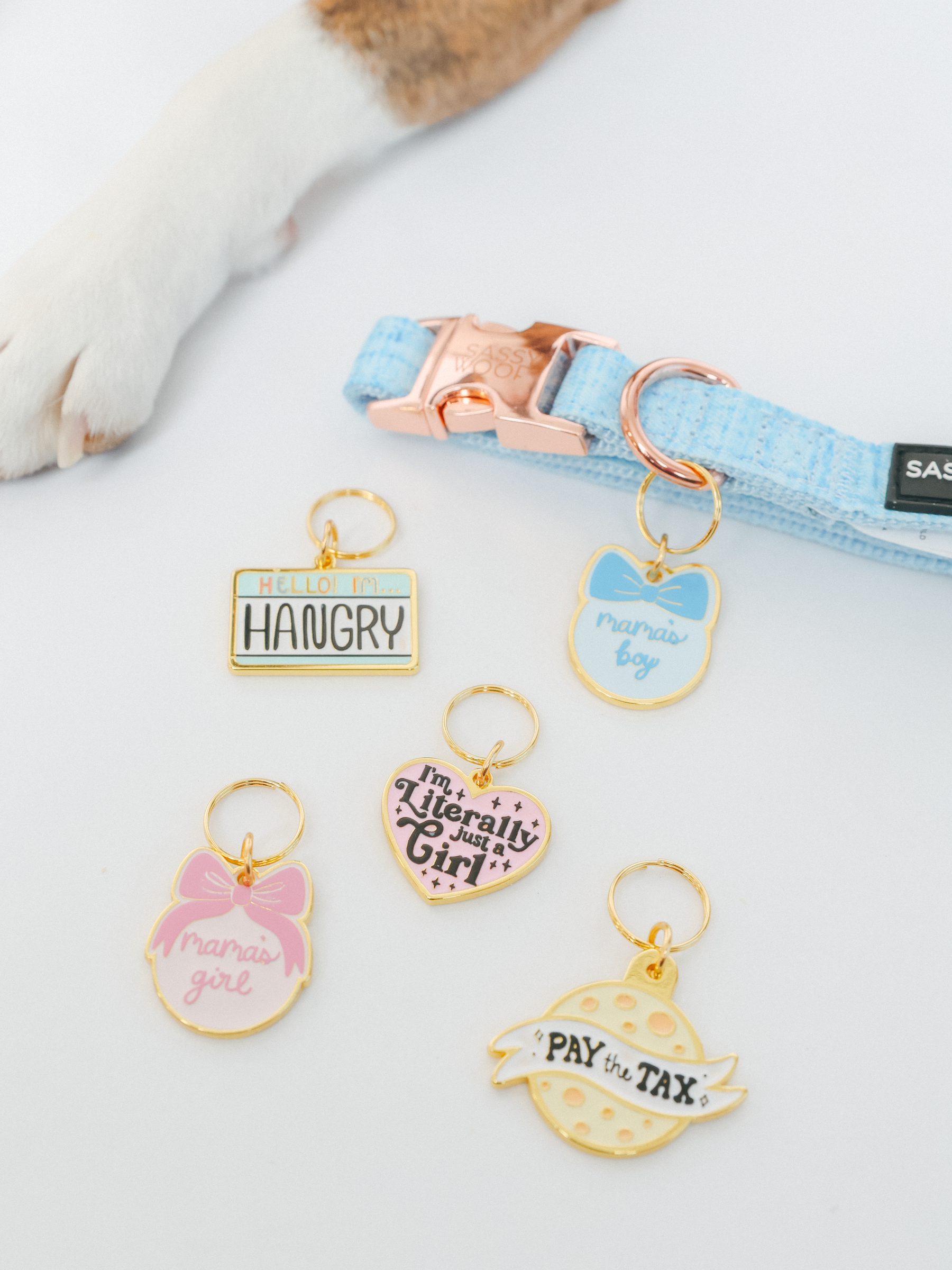 A Sassy Woof light blue collar with a gold clasp is shown beside five Collar Tag - Mama's Boy tags featuring playful phrases, as a curious pet paw peeks in, eager to pick out its new charm.