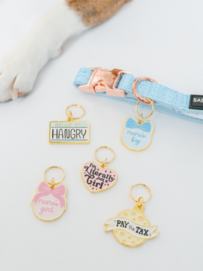 A Sassy Woof light blue collar with a gold clasp is shown beside five Collar Tag - Mama's Boy tags featuring playful phrases, as a curious pet paw peeks in, eager to pick out its new charm.