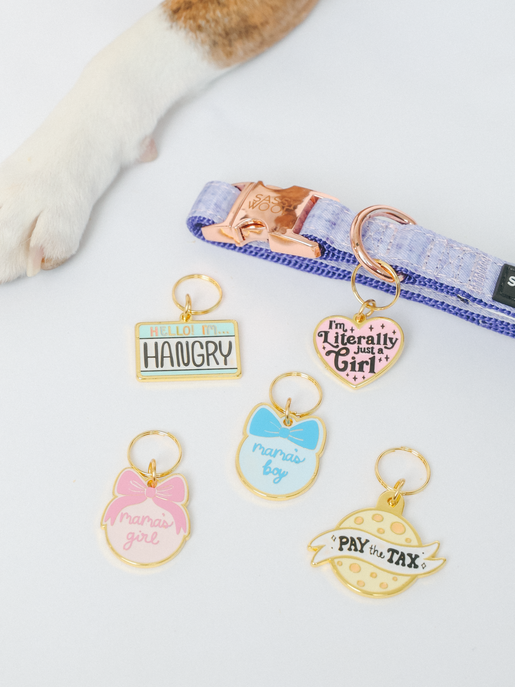 A cat’s paw next to Sassy Woof’s "Collar Tag - Just a Girl," a purple collar with a rose gold tag and five playful, colorful pet tags in heart, bow, and circle shapes—each with fun sayings and cute gold-accented designs.