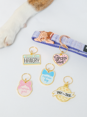 A cat’s paw next to Sassy Woof’s "Collar Tag - Just a Girl," a purple collar with a rose gold tag and five playful, colorful pet tags in heart, bow, and circle shapes—each with fun sayings and cute gold-accented designs.