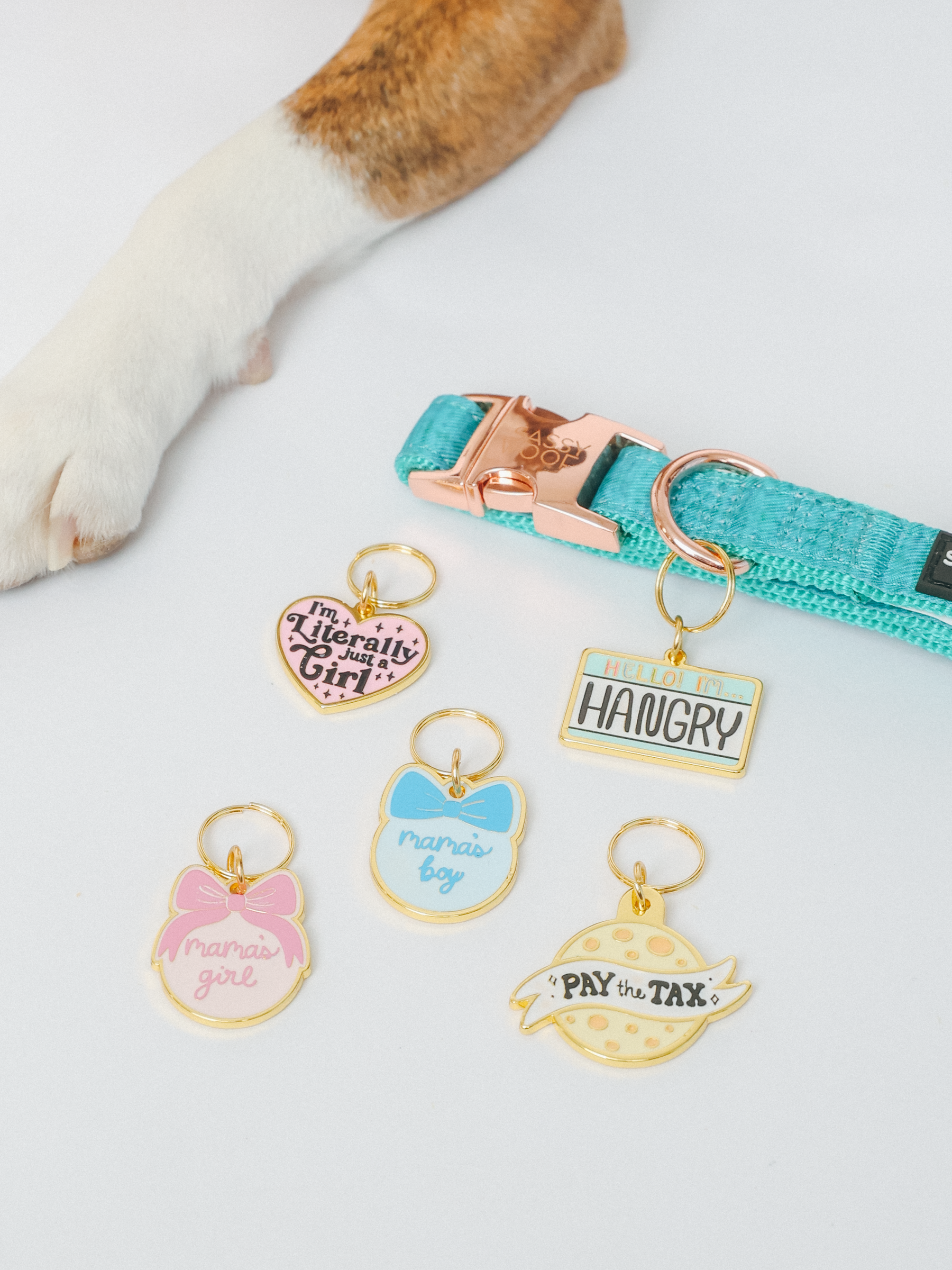 A dog's front leg and paw rest beside a turquoise Sassy Woof collar with playful pastel pet tags, including the "Hello I'm Hangry" tag and charms reading “I’m Literally Girl,” “mama’s girl,” “mama’s boy,” and “PAY THE TAX.”.