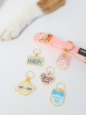 A dog's paw rests near Sassy Woof's Collar Tag - Mama's Girl and four other colorful keychain tags, plus a pink dog collar and a cute charm, all neatly arranged on a white surface.