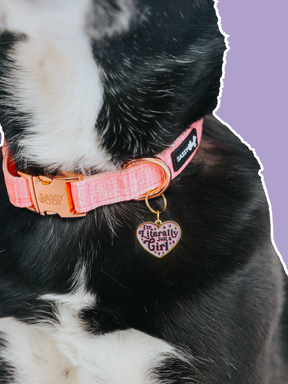 Close-up of a black and white dog's neck wearing a pink collar with Sassy Woof's Collar Tag - Just a Girl, a gold-accented heart-shaped tag reading "I'm Literally a Girl," against a solid light purple background.