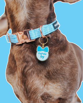 Close-up of a brown dog’s neck wearing the Sassy Woof Collar Tag - Mama’s Boy, featuring a gold paw-shaped charm and blue-and-white tag, set against a solid light blue background.