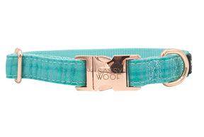 Collar Three Piece Bundle - Wag Your Teal