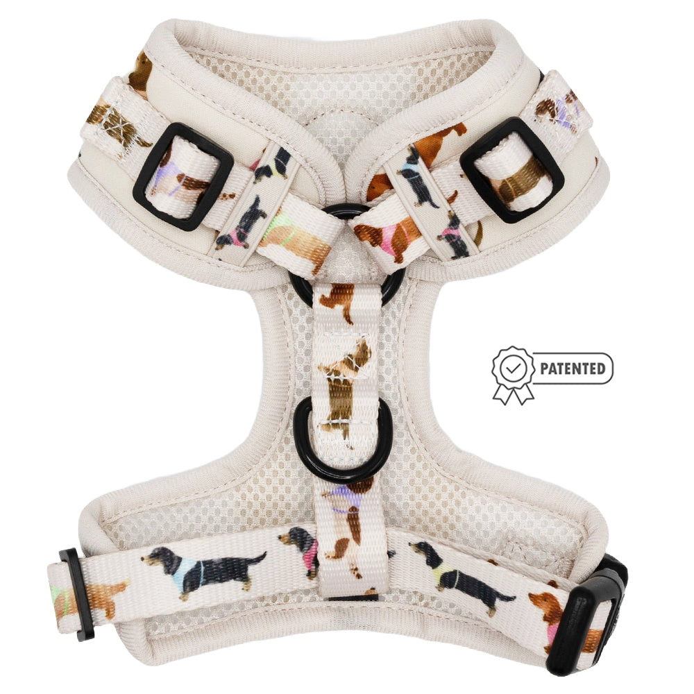 Dog Adjustable Harness - Dainty Dachshunds