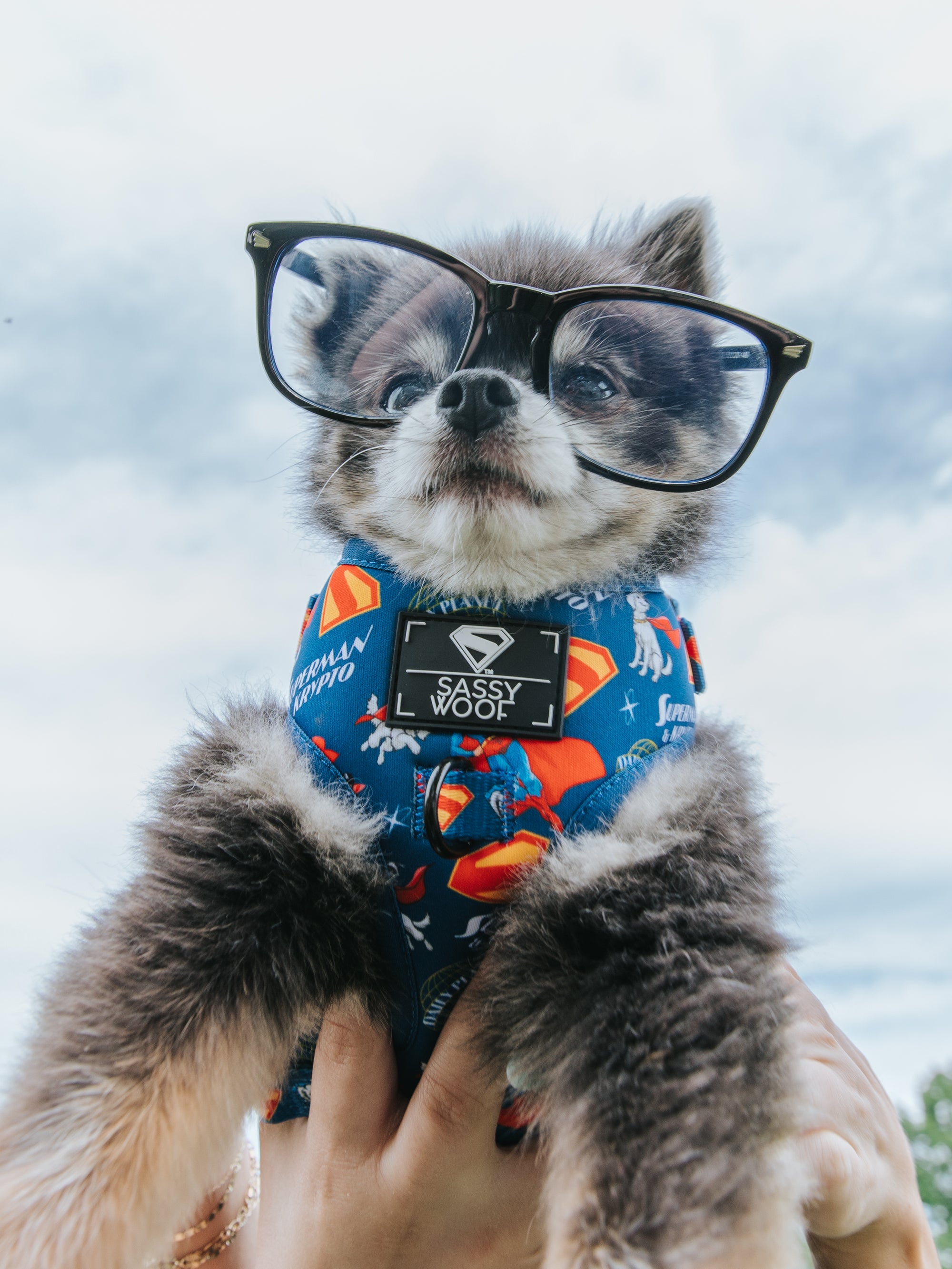 INFLUENCER_CONTENT | @PEANUTPARTI| SIZE XS