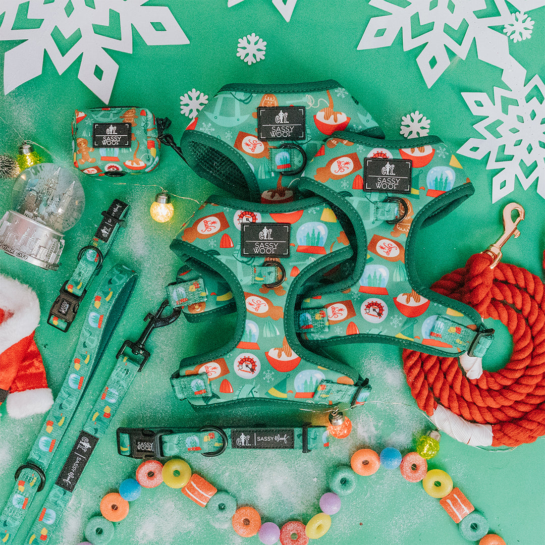 Christmas-themed dog accessories, including harnesses, collars, and leashes with festive patterns, surrounded by ornaments, snowflakes, fairy lights, Santa hat, red rope leash, and colorful candy on a green background.