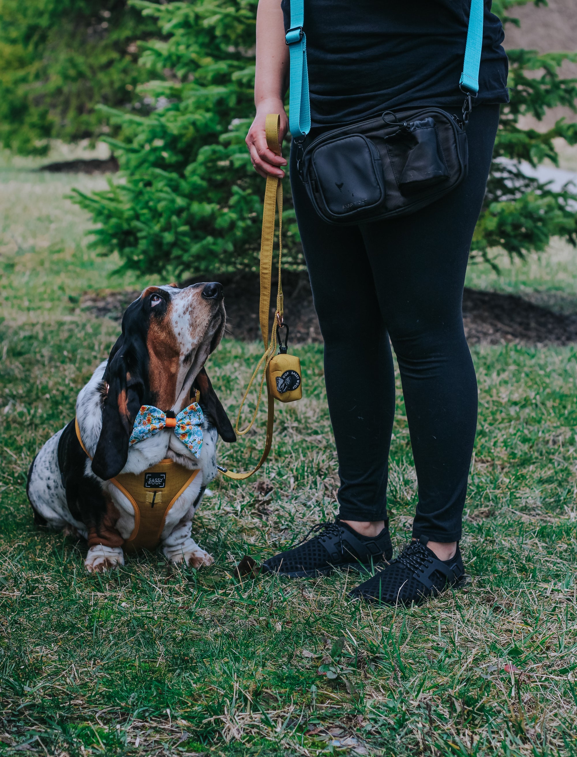 INFLUENCER_CONTENT | @DOLLY_JEAN_THE_BASSET