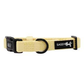 The Sassy Woof Dog Collar - Daffodil is light yellow neoprene with a black buckle, adjustable for puppies, and features a metal D-ring plus a black patch labeled SASSY WOOF in white text.