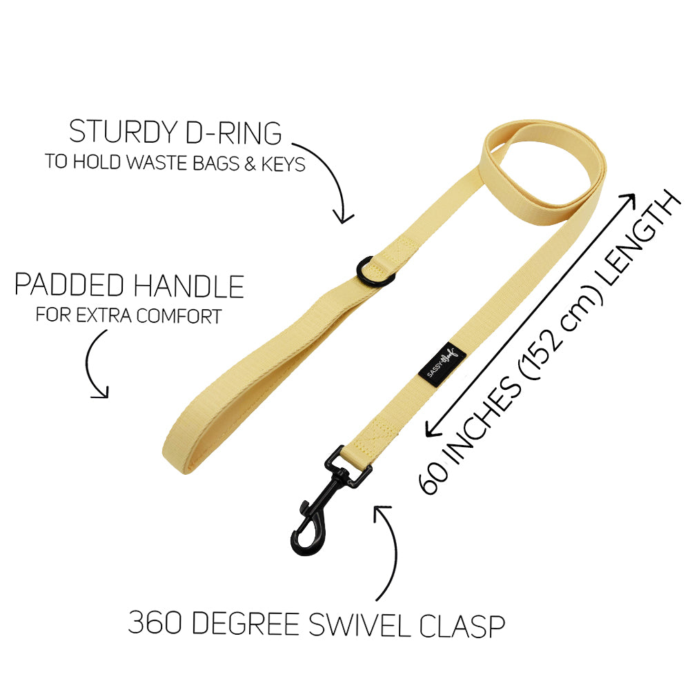 The Sassy Woof Dog Leash - Daffodil features a yellow design, soft neoprene handle, sturdy D-ring for keys or bags, 360° swivel clasp, and is labeled as 60 inches (152 cm) long. Features are shown with arrows. Matches any adjustable harness.