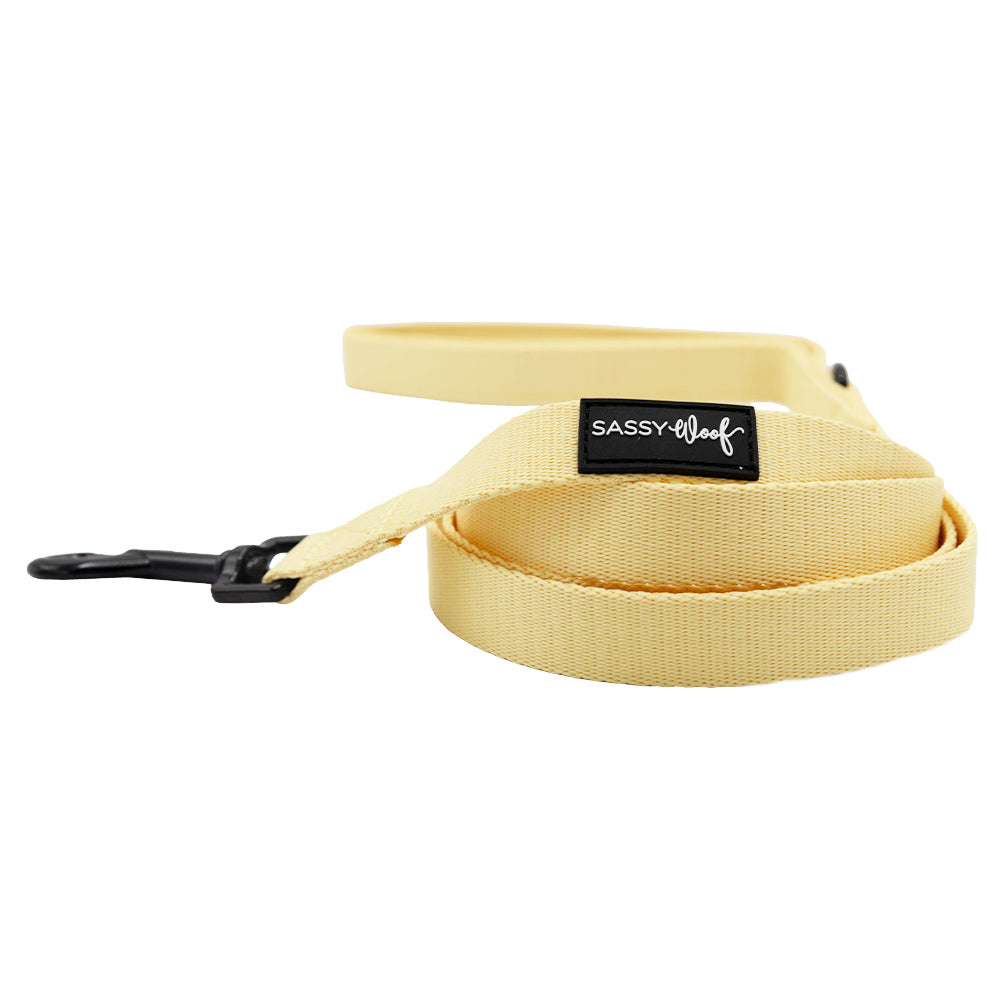 A yellow fabric dog leash from the Sassy Woof Dog Three Piece Bundle - Daffodil, featuring a black metal clasp and a small black "SASSY Woof" label, is coiled and displayed against a white background.