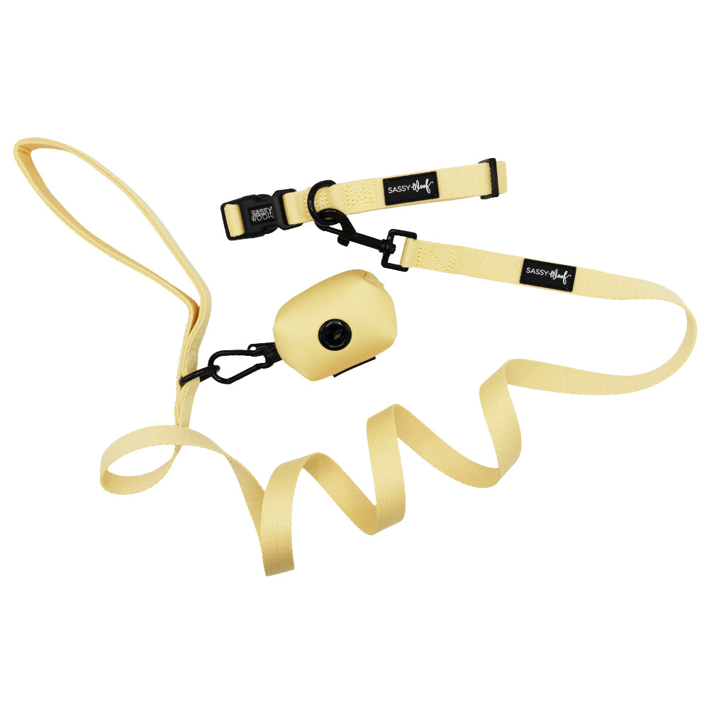 The Sassy Woof Dog Three Piece Bundle - Daffodil features a yellow leash, collar, and matching waste bag dispenser, all displayed on a white background.
