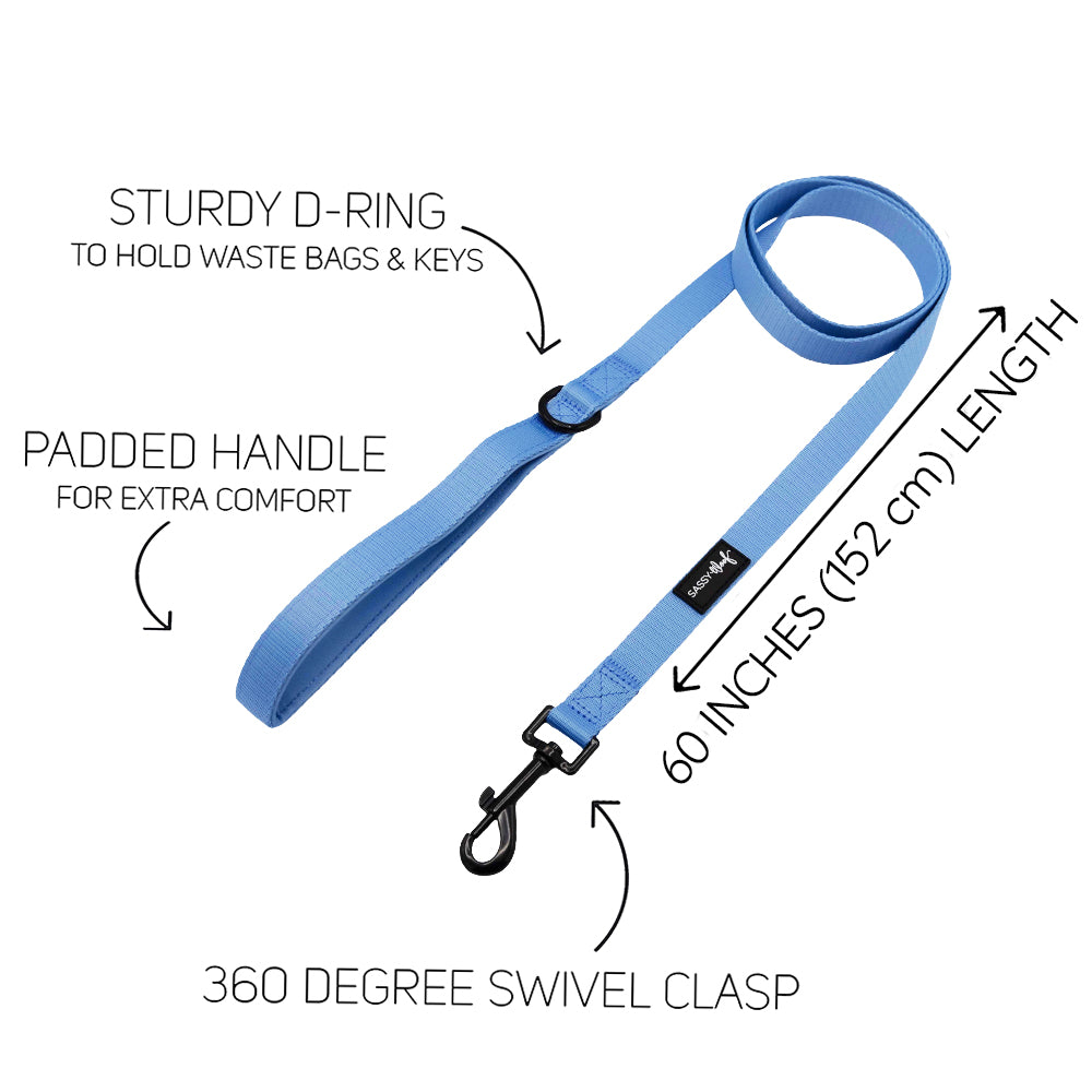 The Sassy Woof Dog Two Piece Bundle - Hydrangea features a blue floral 60" leash with padded handle, sturdy D-ring for bags/keys, and swivel clasp. Pairs perfectly with pastel or hydrangea harness. Key features clearly highlighted.