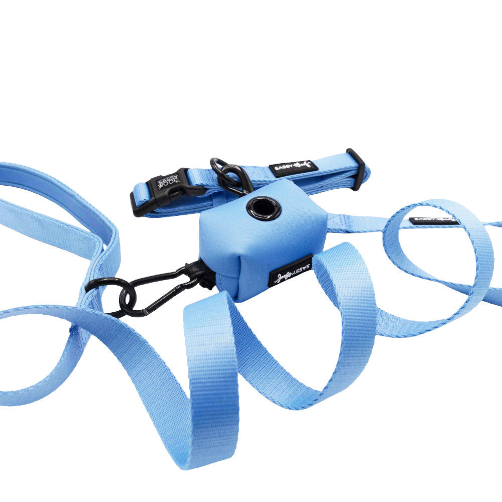 The Sassy Woof Dog Three Piece Bundle - Hydrangea features a pastel blue collar and leash set with black clips and a small blue accessory, all from the Hydrangea collection, beautifully displayed on a white background.