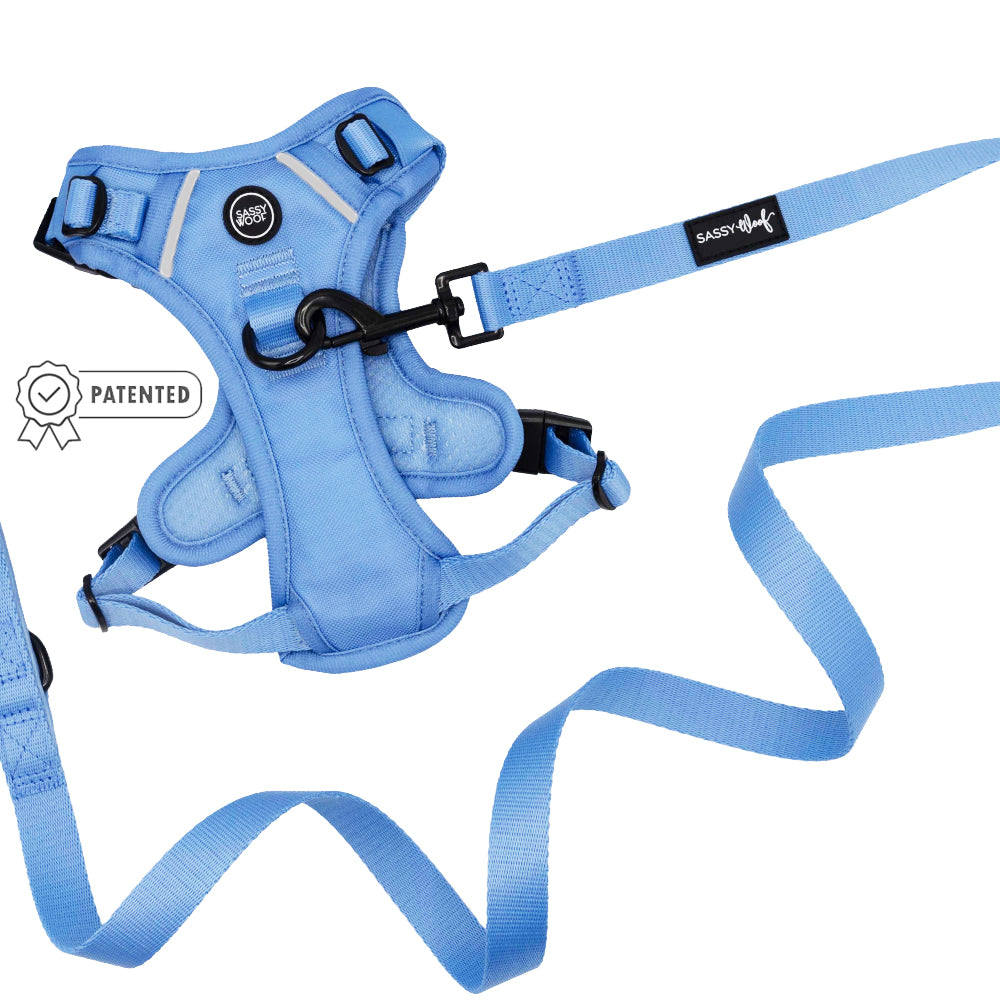 The Sassy Woof Dog Two Piece Bundle - Hydrangea features a light blue pastel harness with black buckles and a matching floral leash labeled "SASSY WOOF." Both items are displayed flat on a white background, with the patented badge on the harness.