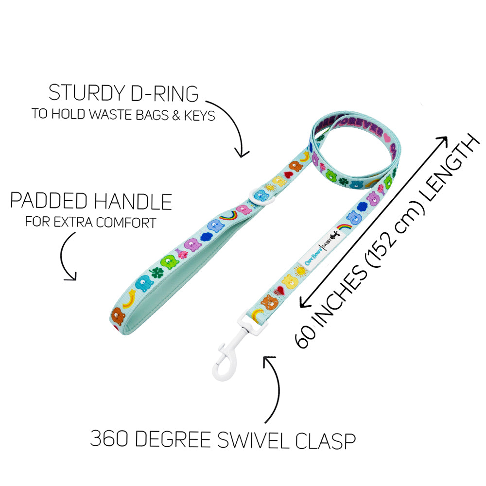 The Sassy Woof Collar Three Piece Bundle - Care Bears™ Care-a-Lot features nostalgic animal prints, a sturdy D-ring for bags/keys, padded handle, 60" (152 cm) length, and 360° swivel clasp with labels for each feature.