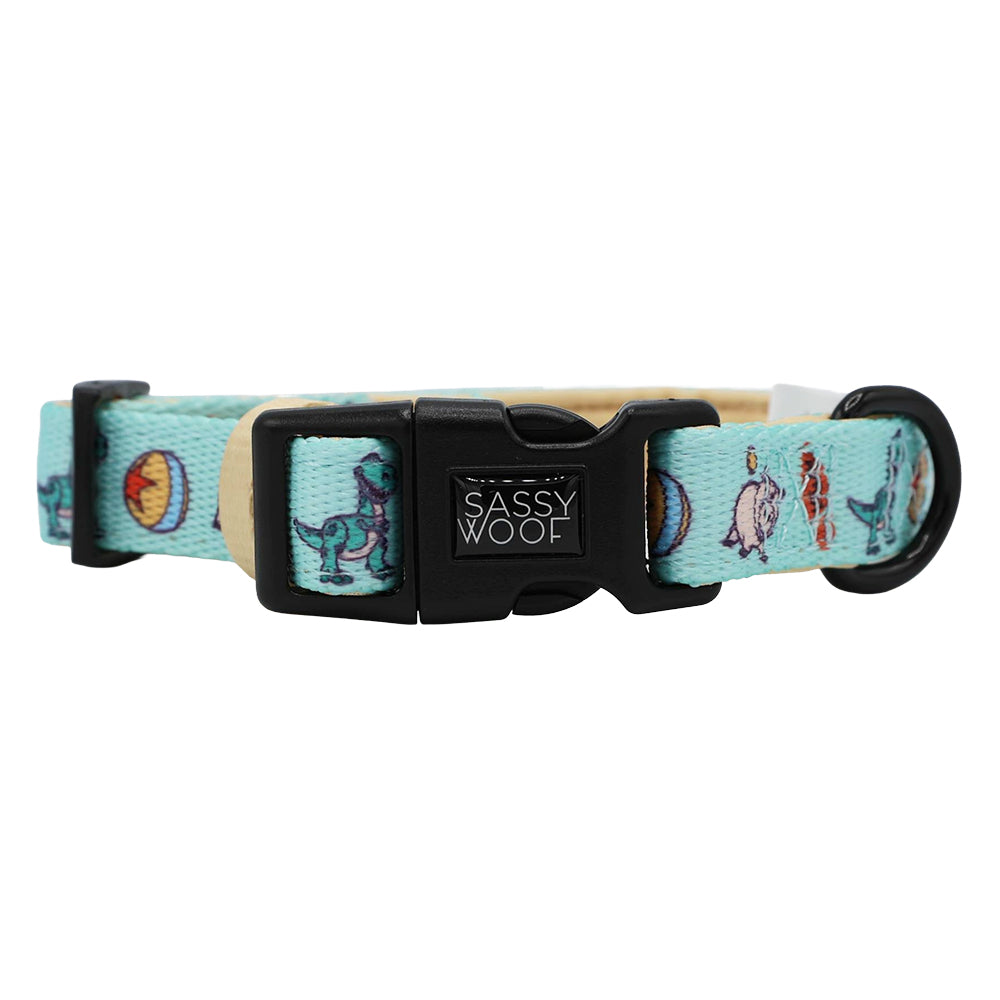 A light blue adjustable Sassy Woof dog collar, featuring Disney and Pixar's Toy Story designs, has a black plastic buckle and fun cartoon motifs inspired by the movie—a playful nod to Disney dog accessories.