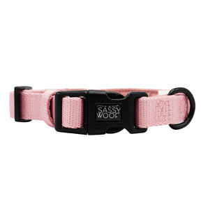 The Sassy Woof Dog Four Piece Bundle in Dusty Rose includes an adjustable light pink collar with a black buckle and metal ring, all featuring the brand’s name, and pairs perfectly with a matching leash and harness.