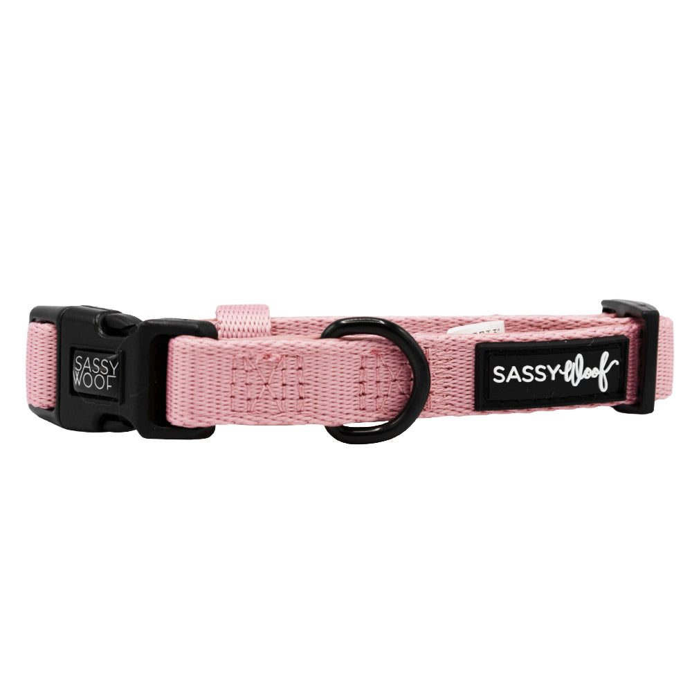The Sassy Woof Dog Collar - Dusty Rose is a light pink neoprene collar with a black buckle, sturdy metal D-ring, and an adjustable fit. The label reads "SASSY WOOF" in white on black, combining both style and comfort for your pup.
