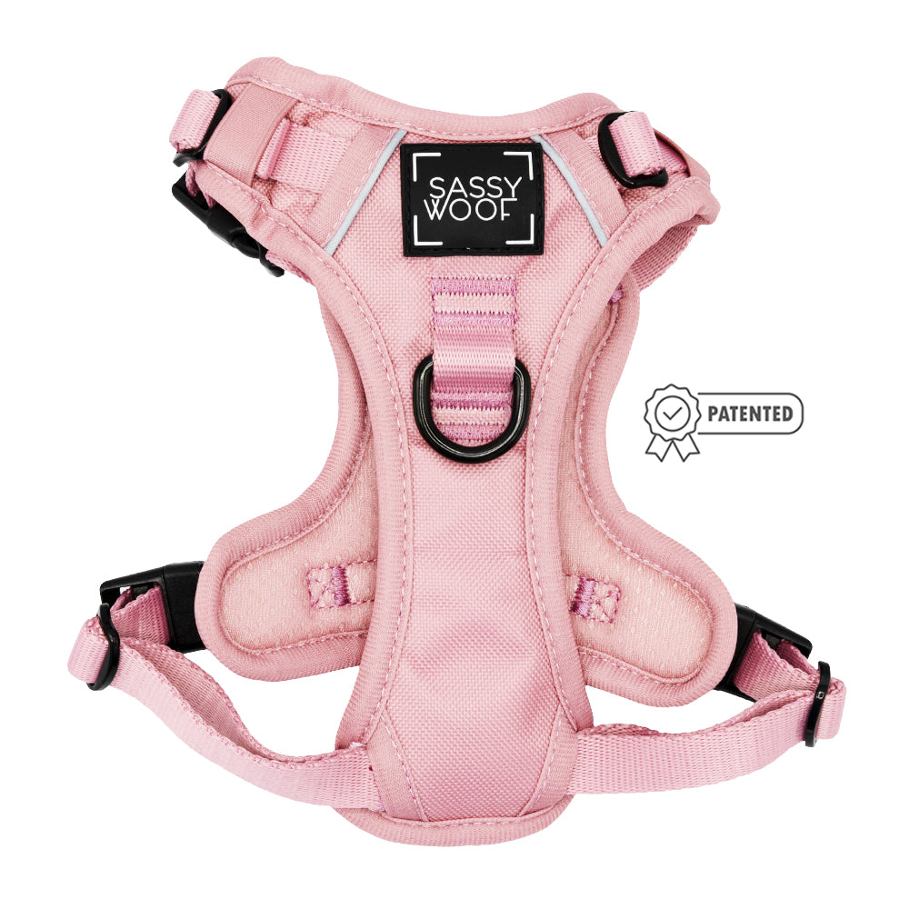 The Sassy Woof Dog Four Piece Bundle in Dusty Rose features padded straps, black buckles, a front Sassy Woof label, a leash attachment ring, and a Patented icon to the right.