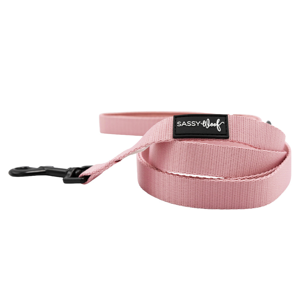 The Sassy Woof Dog Two Piece Bundle in Dusty Rose includes a pink nylon leash with a black metal clip and label, perfectly matched with the Step-In Harness. Both are displayed neatly coiled on a white background.