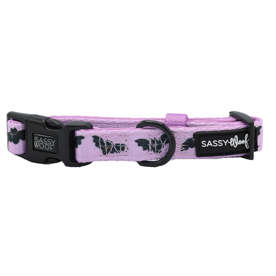 The Sassy Woof Collar - Lil Batty is a light purple adjustable dog collar adorned with black bat patterns, featuring a plastic buckle, a metal ring, and a Sassy Woof brand tag on the side.