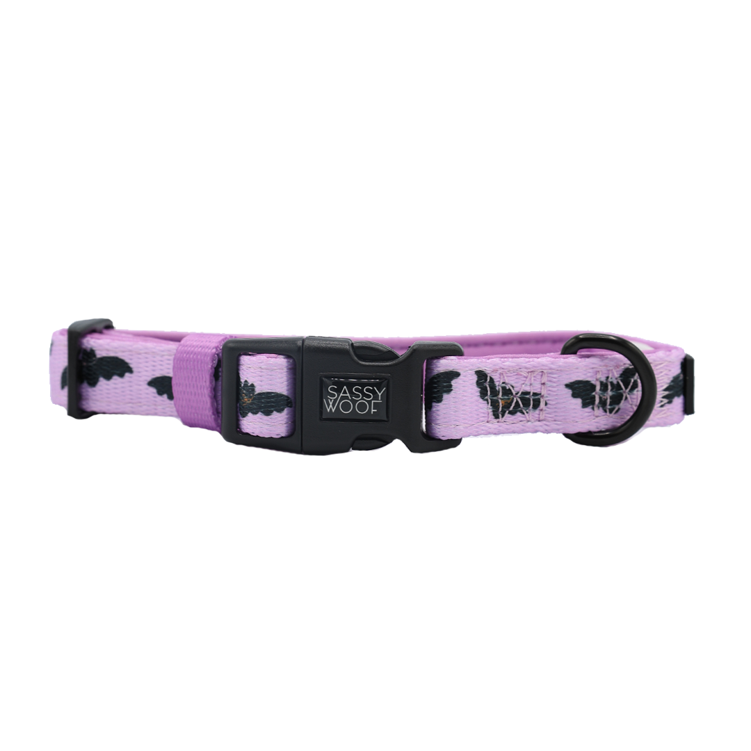 The Sassy Woof Collar - Lil Batty is an adjustable lavender dog collar adorned with black bats and white spider webs, featuring a sturdy metal D-ring for leash attachment and a black Sassy Woof-branded buckle.