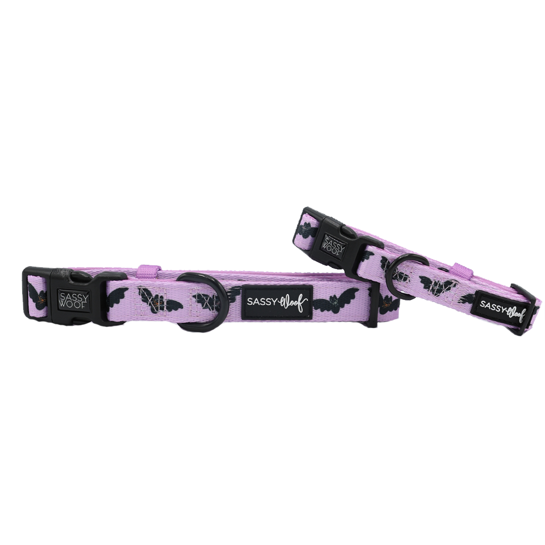 Two Sassy Woof “Lil Batty” purple adjustable dog collars, featuring black bat patterns, sturdy black buckles, and signature Sassy Woof tags—displayed against a white background. These are the perfect bat-themed collars to pair with your favorite fall dog harness.