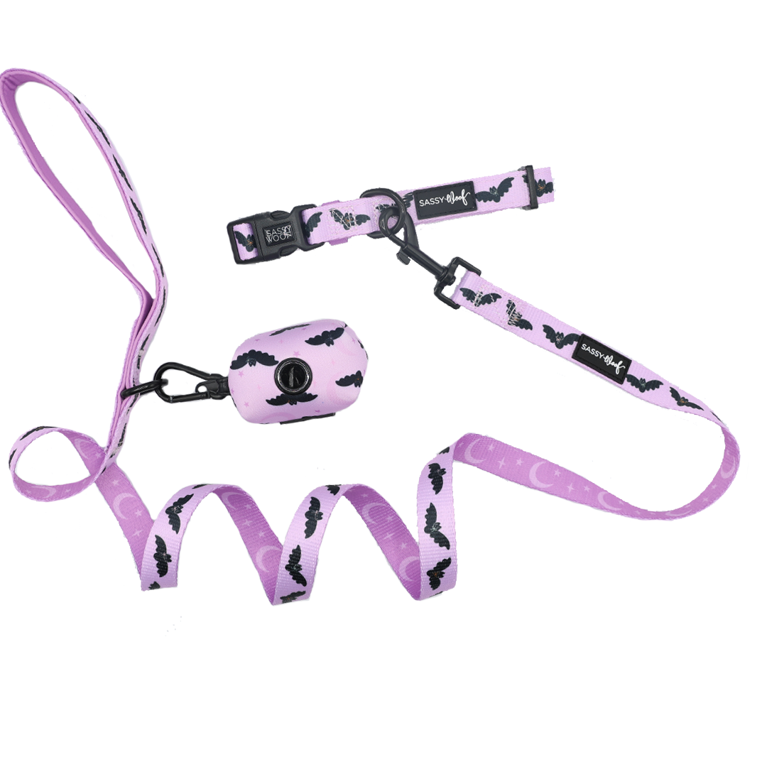 The Dog Three Piece Bundle - Lil Batty by Sassy Woof includes a lavender dog leash, collar, and waste bag holder adorned with black bat and crescent moon patterns, shown on a white background.