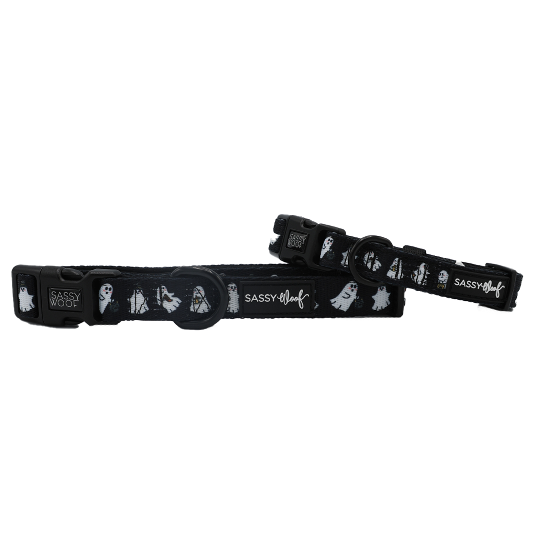Celebrate spooky season with two Sassy Woof “Dog Collar - Lil Boo Thing” adjustable black dog collars, each featuring playful white Halloween-themed prints like ghosts and skeletons. Both styles showcase Sassy Woof branding on the buckle and strap, making them must-have ghost dog accessories for your pup this Halloween.