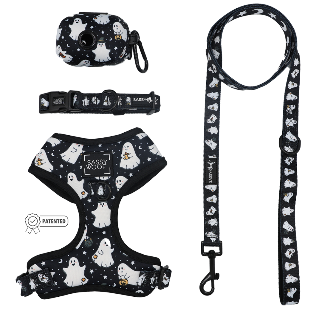 Sassy Woof Dog Four Piece Bundle - Lil Boo Thing, featuring a black harness, adjustable collar, leash, and waste bag holder adorned with a white cartoon ghost pattern. Part of the Lil Boo Thing Dog Collection, the Halloween-themed harness displays the Sassy Woof label and includes a small Patented badge in the lower left corner.