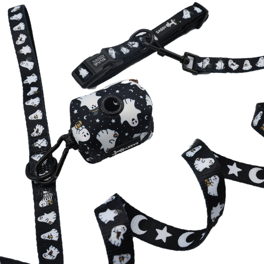 Introducing the Dog Three Piece Bundle - Lil Boo Thing from Sassy Woof! Part of the Lil Boo Thing Collection, this black dog leash set is adorned with whimsical white ghost, star, and moon patterns. It also includes a matching waste bag holder decorated with playful ghosts and stars—all displayed on a crisp white background. Perfect for Halloween walks, pair this perfectly coordinated set with your favorite Halloween dog collar for extra charm!.