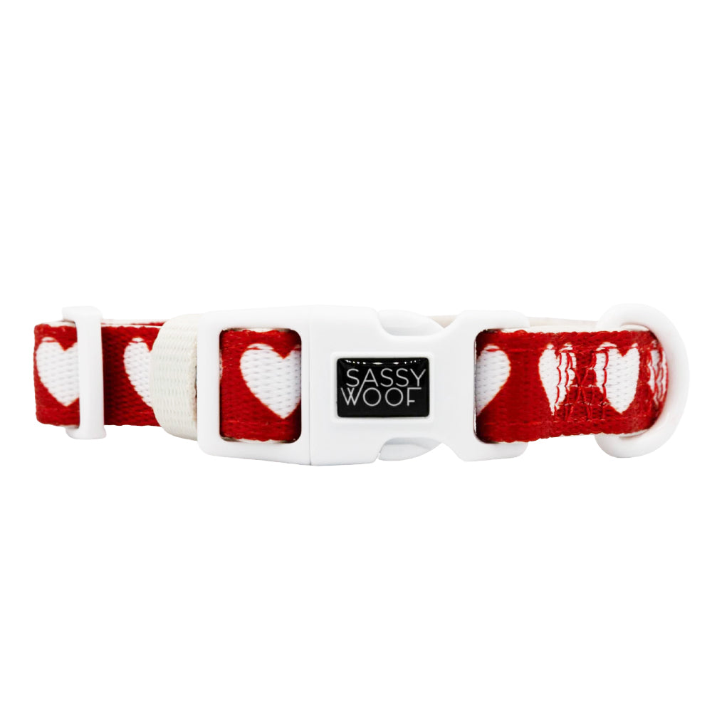 Red and white heart-patterned dog collar with 'Sassy Woof' buckle on a white background
