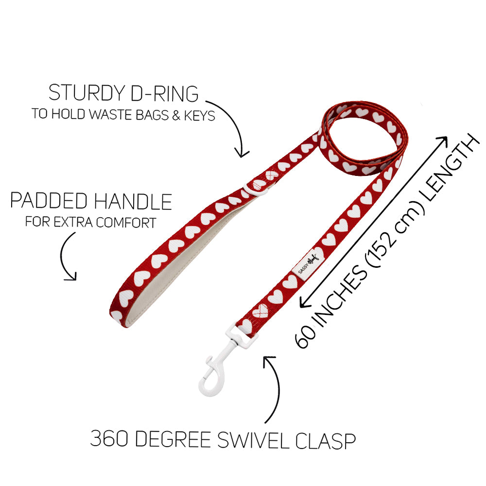 Red and white dog leash with heart pattern, labeled features on a white background