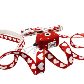 Red and white heart-patterned dog leash with a matching red collar on a white background