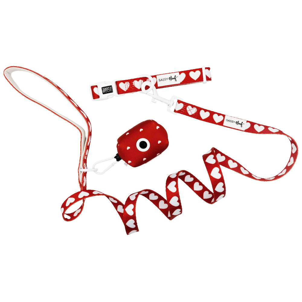 Red and white heart-patterned dog leash with matching red dog toy on a white background