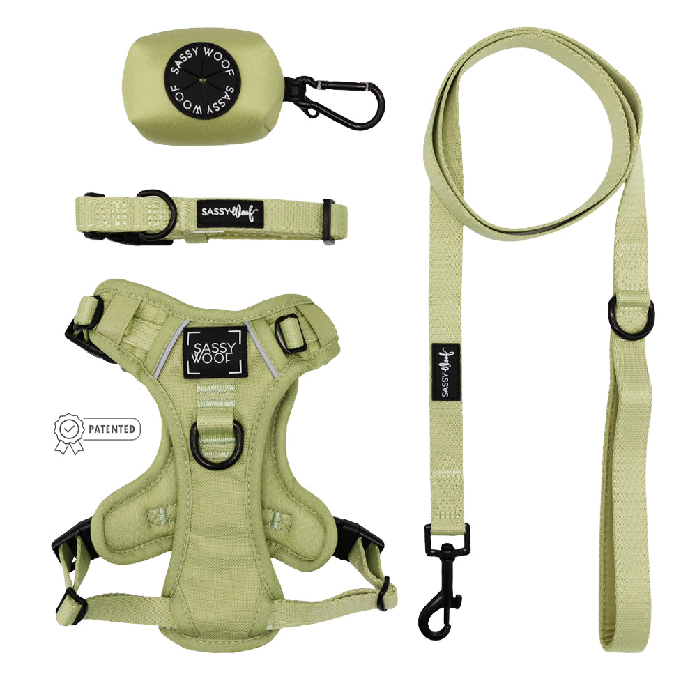 The Sassy Woof Dog Four Piece Bundle - Matcha includes a light green padded, adjustable harness, collar, leash with black hardware, and waste bag holder—stylish pet accessories from the Matcha collection.
