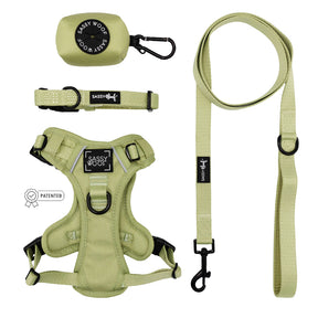 The Sassy Woof Dog Four Piece Bundle - Matcha includes a light green padded, adjustable harness, collar, leash with black hardware, and waste bag holder—stylish pet accessories from the Matcha collection.