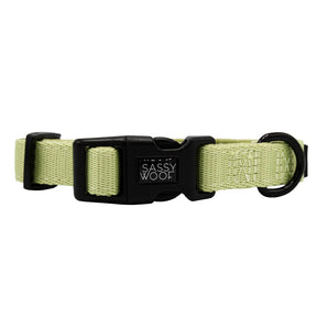 The Sassy Woof Dog Four Piece Bundle - Matcha features stylish green accessories with a black plastic buckle, logo clasp, and sturdy metal ring—perfect for fans of fashionable pet gear.