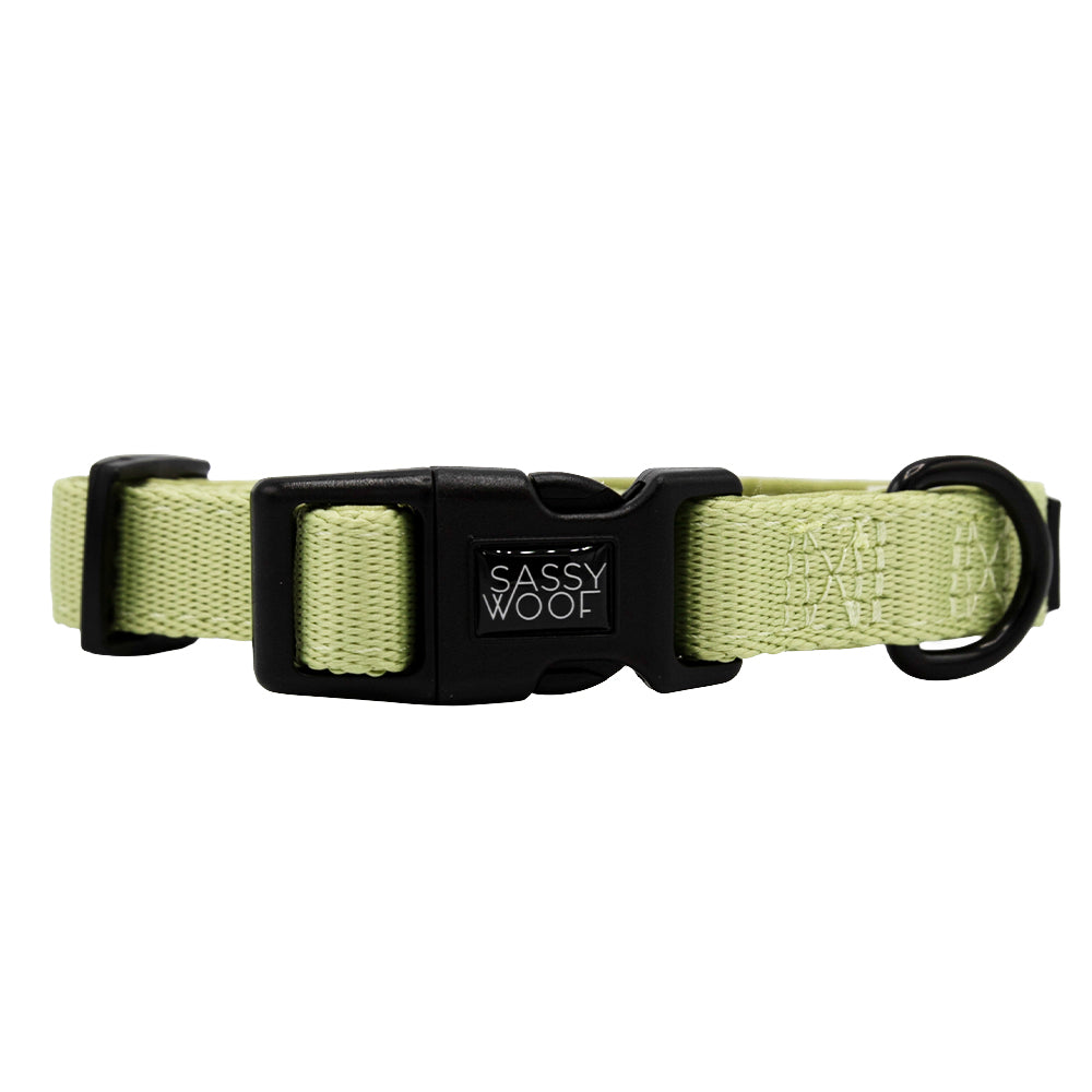 The Sassy Woof Dog Three Piece Bundle in Matcha features a light green collar with a black plastic buckle, metal D-ring, and the brand name in white—ideal for your puppy’s growth plan.
