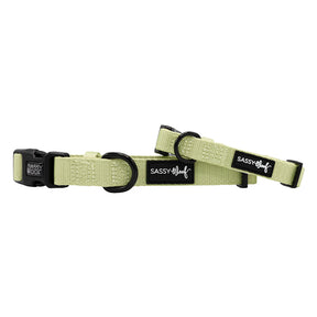 Two light green Sassy Woof "Dog Collar - Matcha" adjustable collars with black buckles, D-rings, and black tags reading "SASSY WOOF" in white are displayed on a white background—ideal for a puppy growth protection plan.