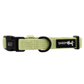 The Sassy Woof Dog Collar - Matcha is a light green neoprene collar with a black buckle, D-ring, and adjustable fit. It features a white-on-black “Sassy Woof” logo patch—perfect for pups in the puppy growth pawtection plan.
