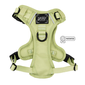 The Sassy Woof Dog Two Piece Bundle - Matcha features a light green step-in harness with black buckles, a Sassy Woof logo on the front, and a small patent icon to the right.