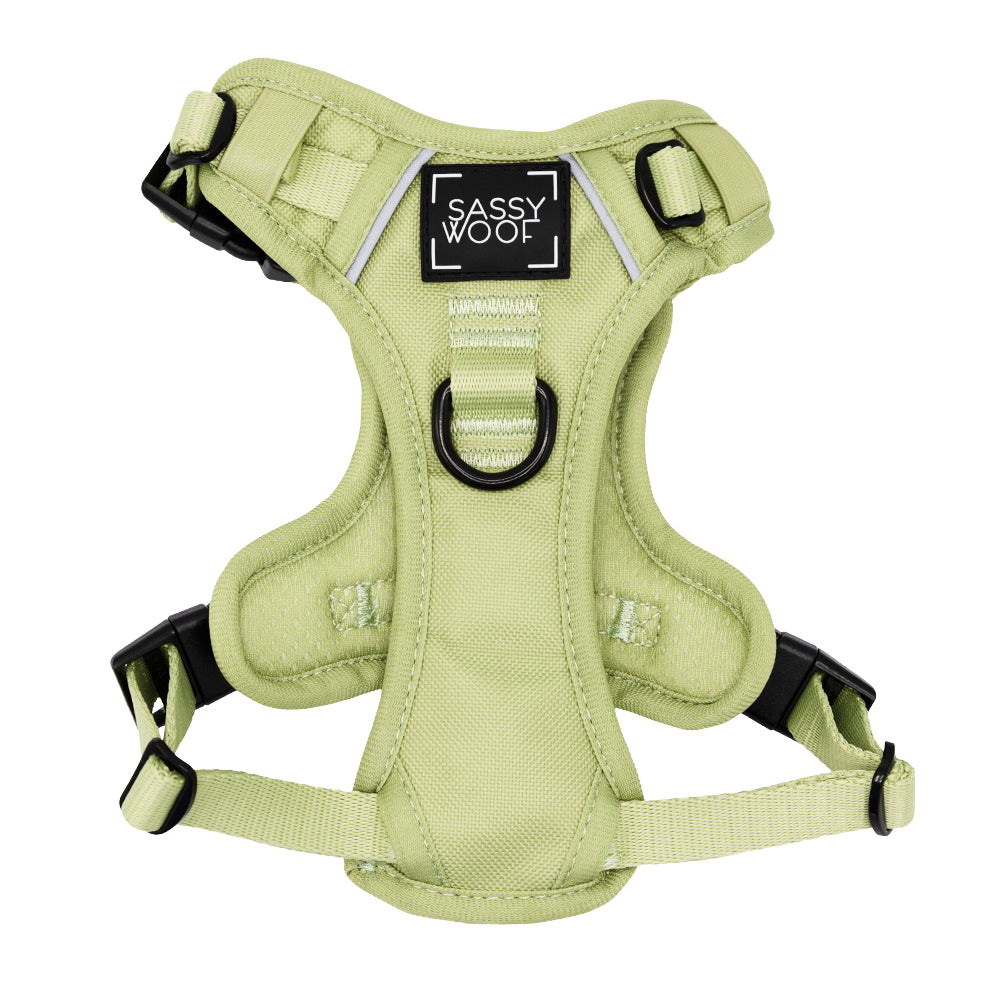 The Dog Step-in Harness - Matcha by Sassy Woof features adjustable black straps and buckles, a durable light green design, a black "SASSY WOOF" patch in white, and a central metal ring for secure leash attachment.
