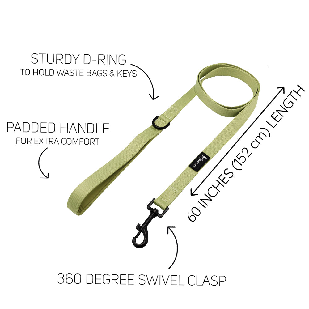 The Sassy Woof Dog Four Piece Bundle - Matcha features a light green leash with padded handle, sturdy D-ring, and 360° swivel clasp. Pair it with our matching harness or accessories for a stylish walk!.