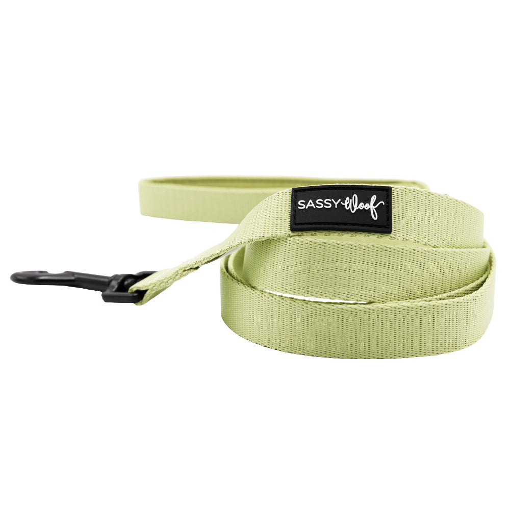 The Sassy Woof Dog Two Piece Bundle - Matcha features a light green leash with a black metal clasp and Sassy Woof label on the handle, coiled neatly against a white background—perfectly paired with the Matcha harness.
